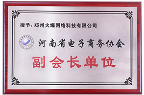 河南省電子商務協(xié)會副會長單位