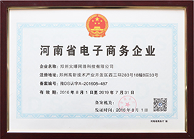 河南省電子商務企業(yè)